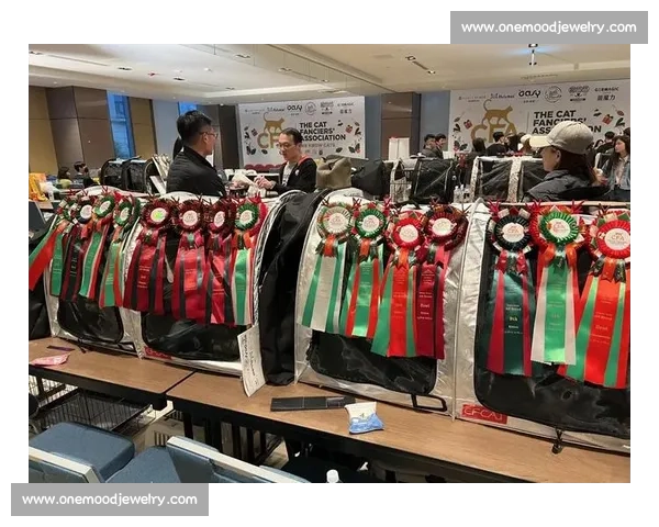 2017年CFA比赛日程安排与赛事亮点全面解析